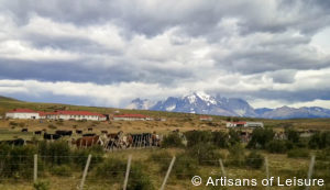 Luxury Chile tours