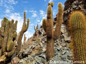 Luxury Chile tours