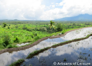 Luxury Indonesia tours