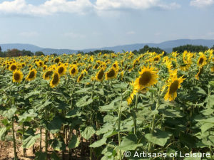 Luxury France tours