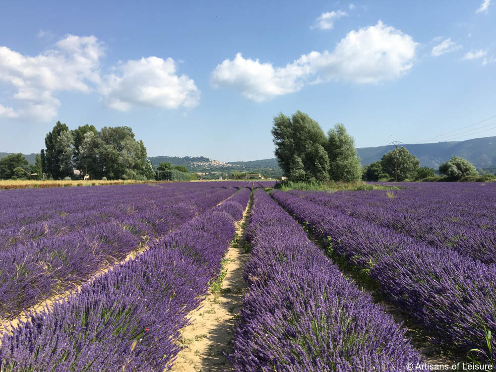 Provence tours