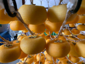 Japan culinary tours