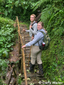 Private Rwanda tours