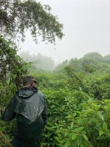 Private Rwanda tours