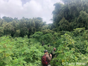 Private Rwanda tours