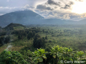 Private Rwanda tours