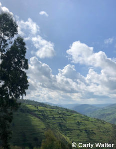 Private Rwanda tours