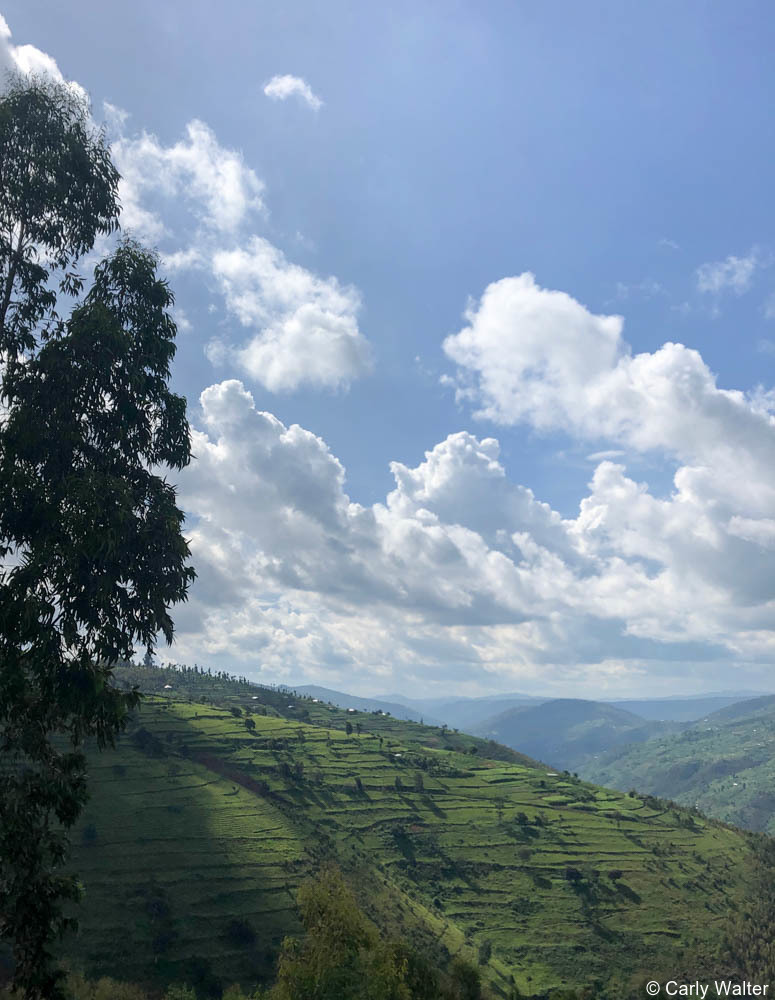 Private Rwanda tours