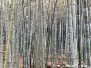 Luxury China tours