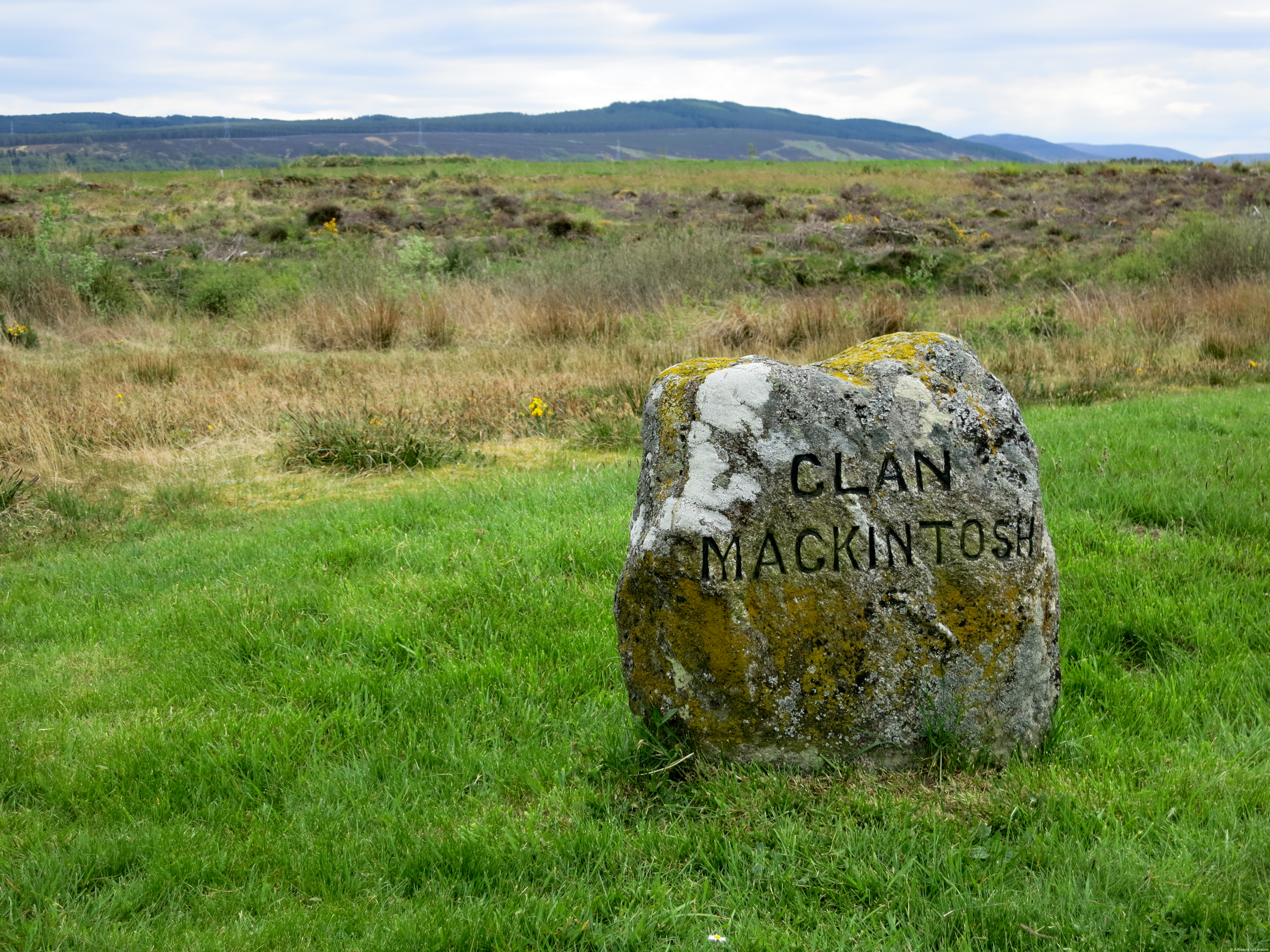 Private Genealogical Tours 