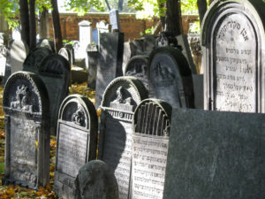 Private Genealogical Tours