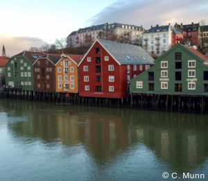 Private Norway tours