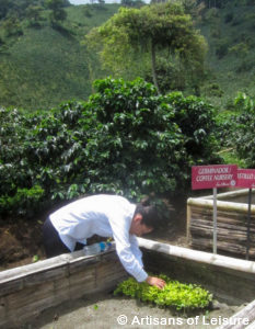 private Colombia tours