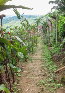 private Colombia tours