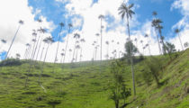 Journey Through Colombia