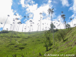 private Colombia tours