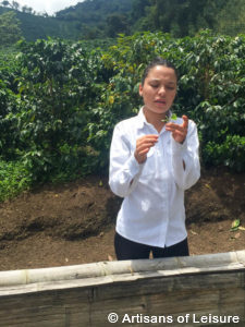 private Colombia tours