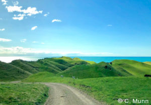 Luxury tours of New Zealand