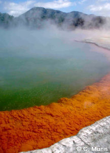 Luxury tours of New Zealand