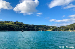 Luxury tours of New Zealand