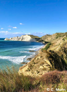 Luxury tours of New Zealand