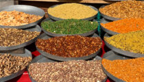 Culinary Tour of India