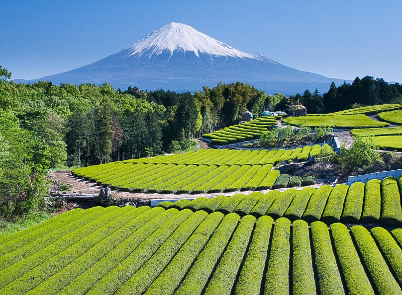 travel leisure japan