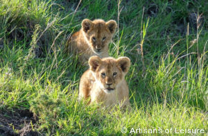 Luxury Kenya tours