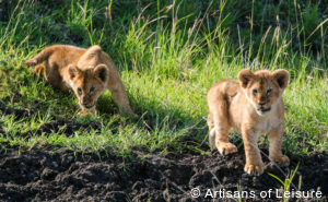 Luxury Kenya tours