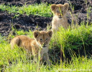 Luxury Kenya tours