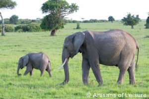 Luxury Kenya tours