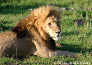 Luxury Kenya tours