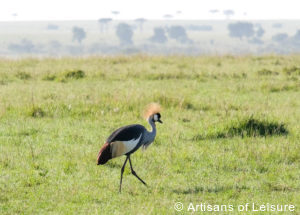 Luxury Kenya tours