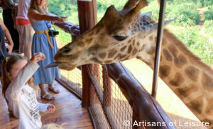 Luxury Kenya tours