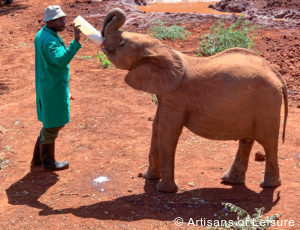 Luxury Kenya tours