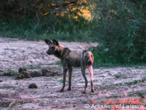 Luxury Zimbabwe tours