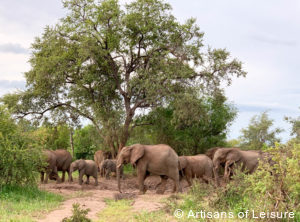 Luxury Zimbabwe tours