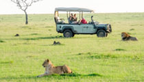 Romantic Kenya & Tanzania: Safari & Sand