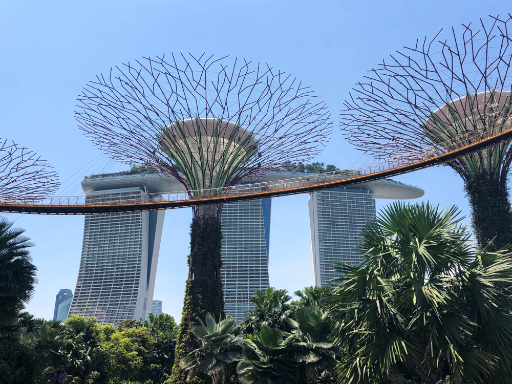 private tour singapore