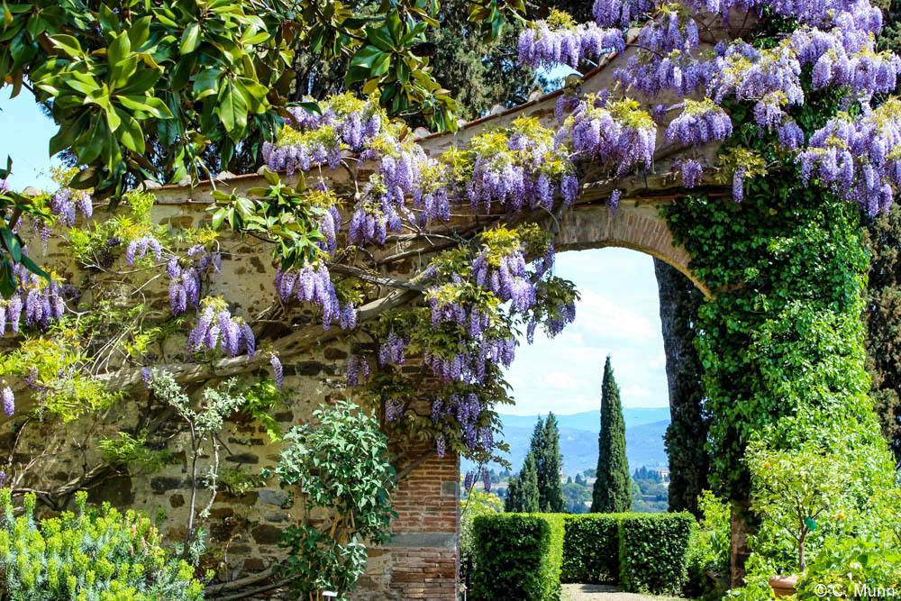 International garden tours (13) Artisans of Leisure Luxury travel