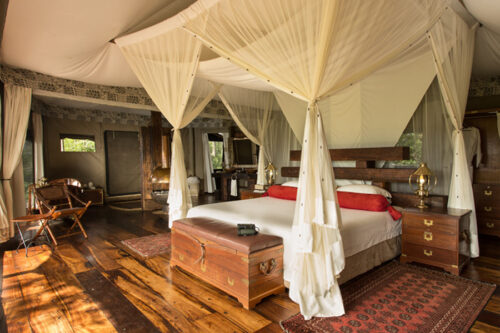 luxury Botswana tours