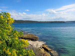luxury Australia tours