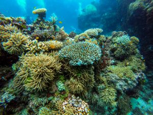 luxury Australia tours