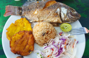 luxury Colombia tours