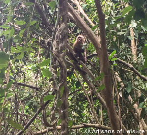 private Colombia tours