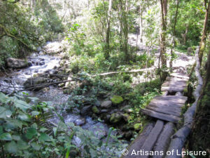 private Colombia tours