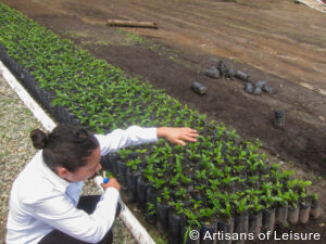 private Colombia tours