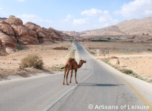 luxury Jordan tours