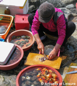 private South Korea tour