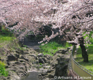 private South Korea tours